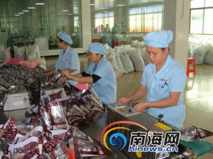 糖廠技工 糖廠技工