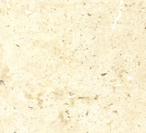 泰國米黃 | Thailand Beige |