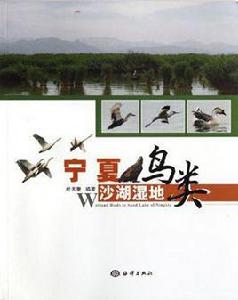 寧夏沙湖濕地鳥類 寧夏沙湖濕地鳥類