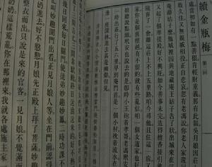 《續金瓶梅》剪影