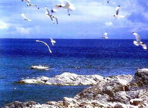 青海湖自然保護區