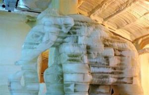 冰河世紀滑雪場 冰河世紀滑雪場