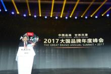 中國廣告協會會長張國華在2017大國品牌年度峰會發表講話