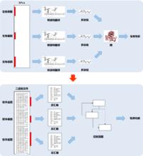 生物基因與軟體基因的對應關係