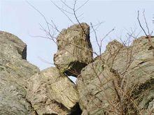 木蘭山藍閃石石英脈