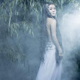 俠客行[董貞演唱歌曲]