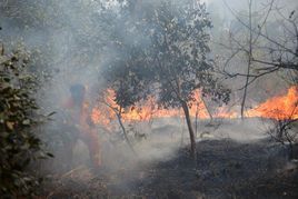 3·14山西沁源森林火災 3·14山西沁源森林火災