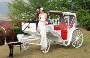 武漢樂考拉文化傳播有限公司 武漢樂考拉文化傳播有限公司