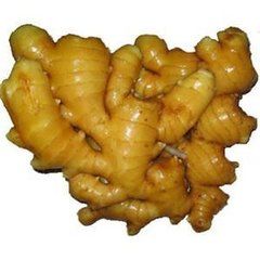 廣東疏輪大肉姜