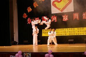 晚會的精彩表演