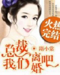 總裁,我們離婚吧 總裁,我們離婚吧