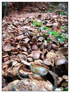 湖泗鎮浮山村一古窯因大樹倒塌而暴露出的窯內一角