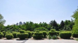 呼和浩特市植物園 呼和浩特市植物園