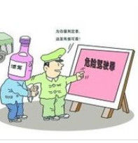 危險駕駛罪 危險駕駛罪