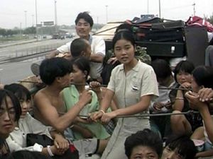 《江湖》[紀錄片]