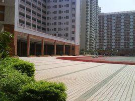 湛江二中港城中學 湛江二中港城中學