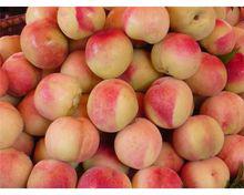 棗[棗莊市的簡稱]