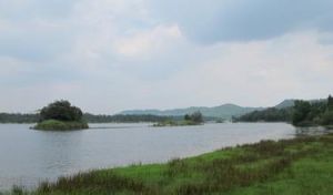 長湖濕地 長湖濕地