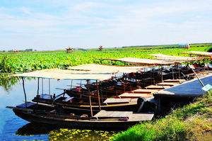 白洋淀漁人樂園景區