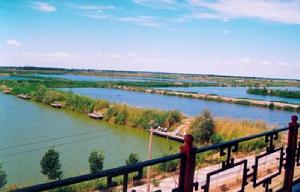 六十戶江南漁村 六十戶江南漁村