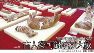 龍埡遺址 龍埡遺址