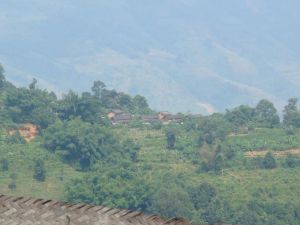 草皮地自然村 草皮地自然村