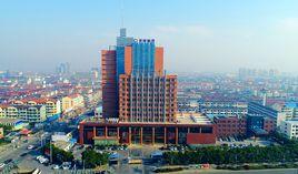 安徽天康(集團)股份有限公司 安徽天康(集團)股份有限公司