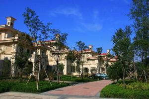 卓越蔚藍群島 卓越蔚藍群島