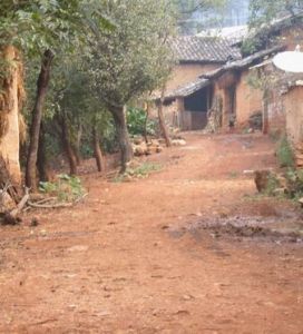 瓦窯新村自然村 瓦窯新村自然村