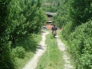 灑拉阱村 灑拉阱村