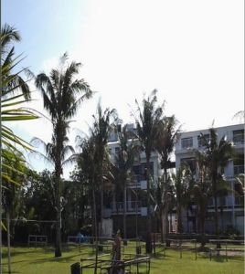 清涼露營區 清涼露營區