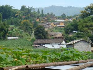漢族自然村 漢族自然村
