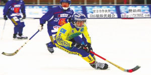 冰上曲棍球 冰上曲棍球