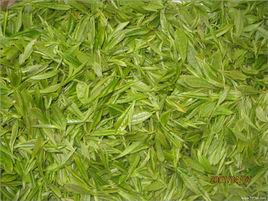 老竹大方茶 老竹大方茶