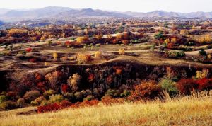 渾善達克沙地園區 渾善達克沙地園區