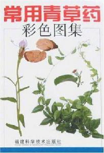 常用青草藥彩色圖集 常用青草藥彩色圖集