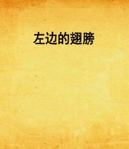 左邊的翅膀 左邊的翅膀