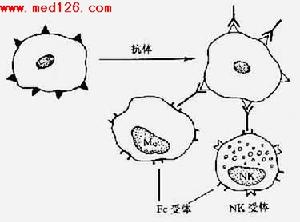 《局部血液及體液循環障礙》