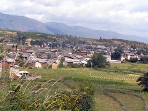 江尾河村 江尾河村