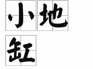 小地缸 小地缸