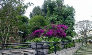 彌勒寺公園 彌勒寺公園