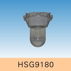  HSG9180防眩泛光燈