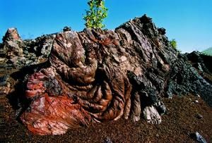 黑龍江五大連池國家地質公園 