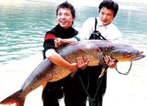 長湖鱤魚 長湖鱤魚