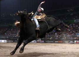 職業騎牛賽 職業騎牛賽