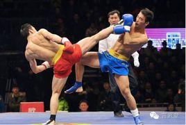 蹬腿[武術、格鬥動作]