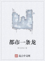 都市一條龍 都市一條龍