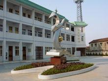 莊小電教樓——飛