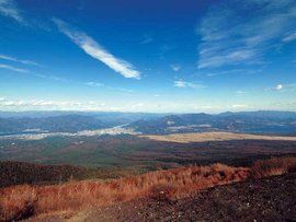 五合[中醫術語]