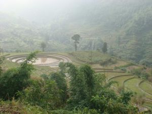螺螄田村 螺螄田村